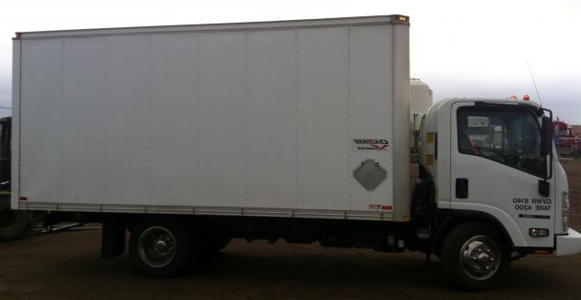 yard_4_1471.JPG